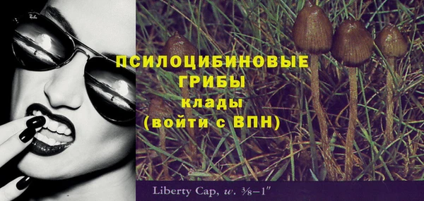 Альфа ПВП Лиски