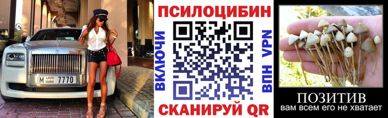 Галлюциногенные грибы прущие грибы  закладки  мега   Пойковский 